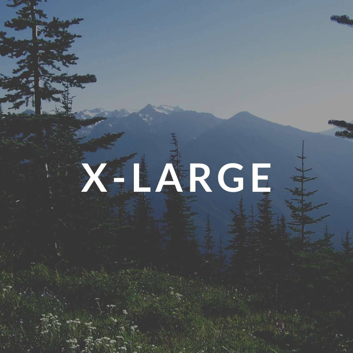 The Last Call Collection - X-Large