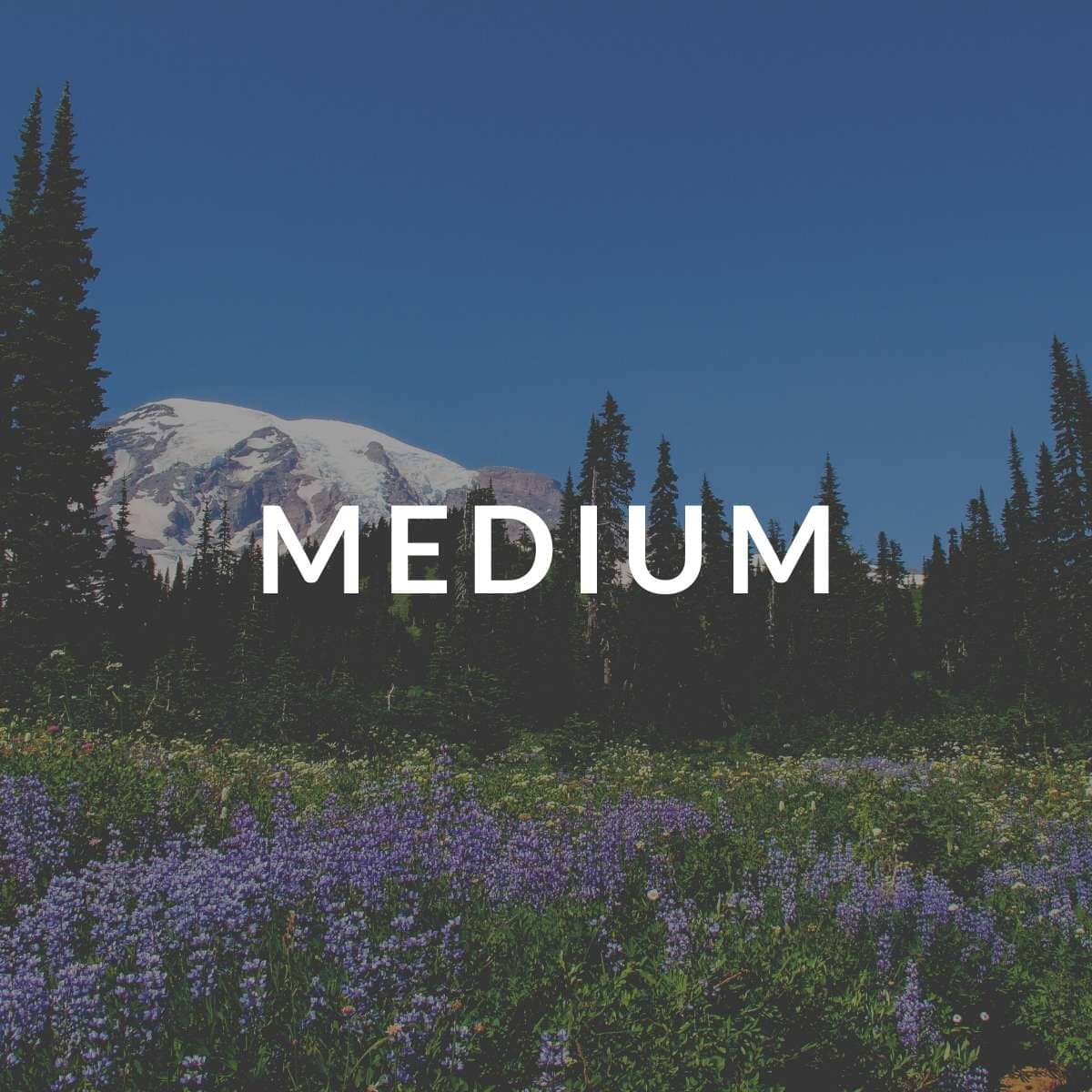 The Last Call Collection - Medium