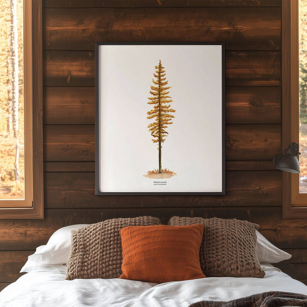 Western Larch Watercolor 11" x 14" Art Print
