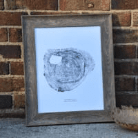 PNW Black Walnut Tree Ring Print - Pac Nor Westy - 