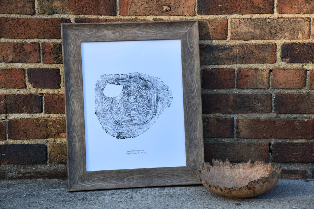 PNW Black Walnut Tree Ring Print - Pac Nor Westy - 