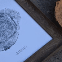 PNW Black Walnut Tree Ring Print - Pac Nor Westy - 