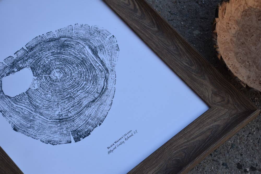 PNW Black Walnut Tree Ring Print - Pac Nor Westy - 