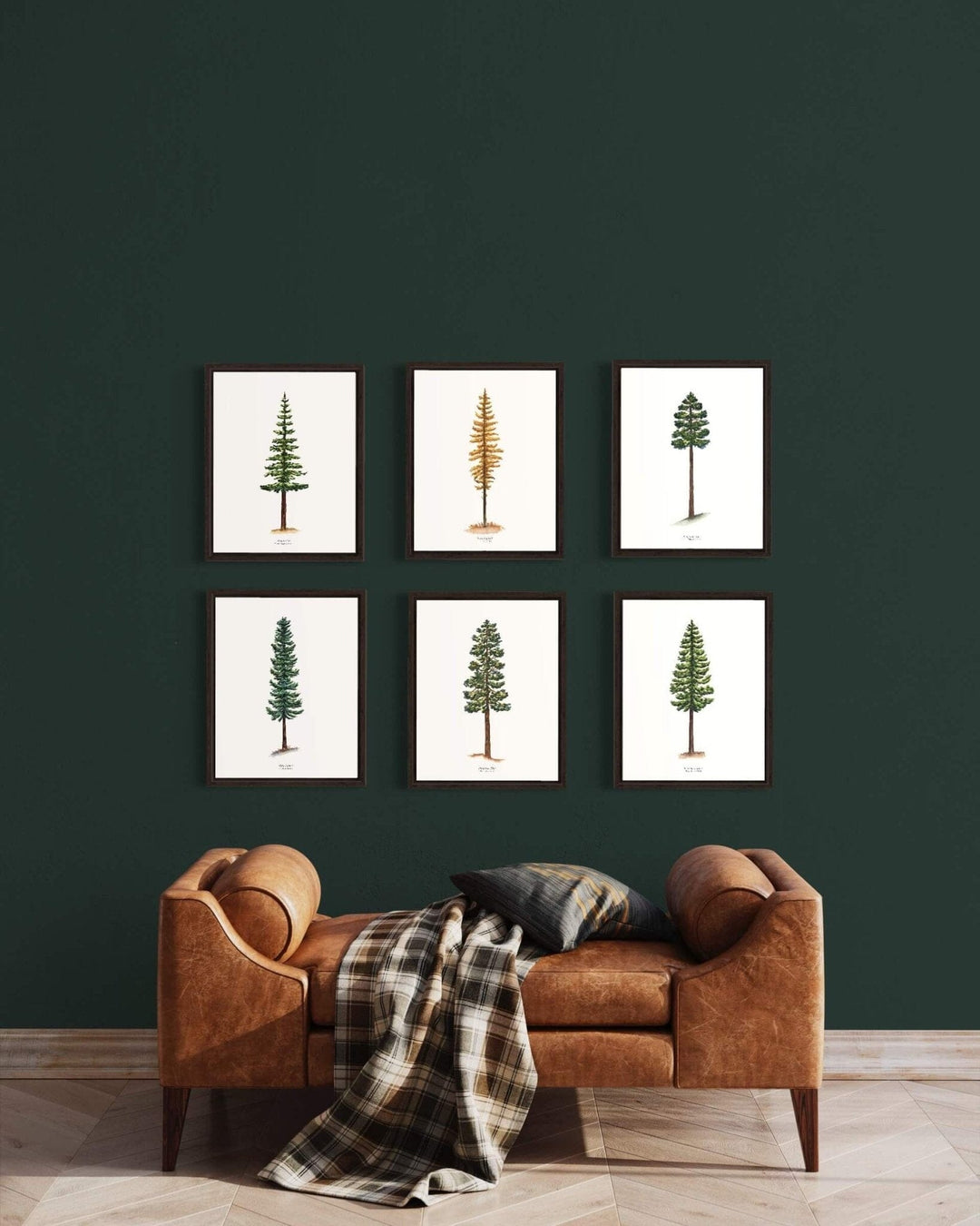 PNW Douglas Fir Evergreen Tree | Watercolor Art Print: 11"x14" - Pac Nor Westy - 