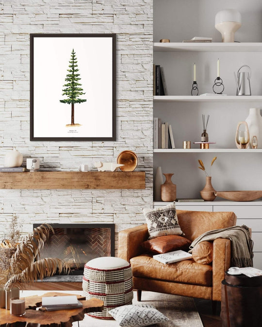 PNW Douglas Fir Evergreen Tree | Watercolor Art Print: 11"x14" - Pac Nor Westy - 