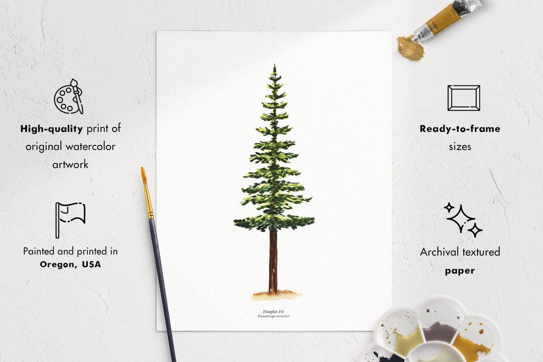PNW Douglas Fir Evergreen Tree | Watercolor Art Print: 11"x14" - Pac Nor Westy - 