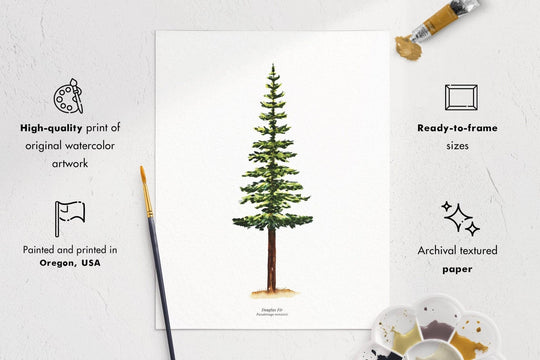 PNW Douglas Fir Evergreen Tree | Watercolor Art Print: 11"x14" - Pac Nor Westy - 