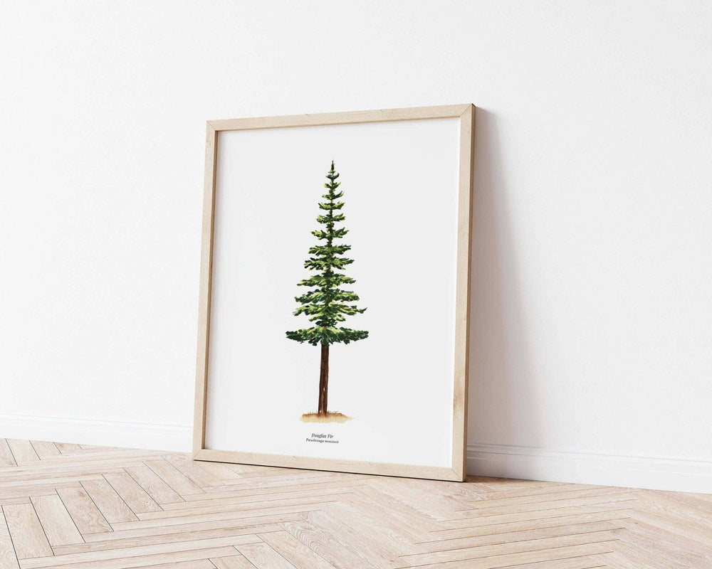 PNW Douglas Fir Evergreen Tree | Watercolor Art Print: 11"x14" - Pac Nor Westy - 
