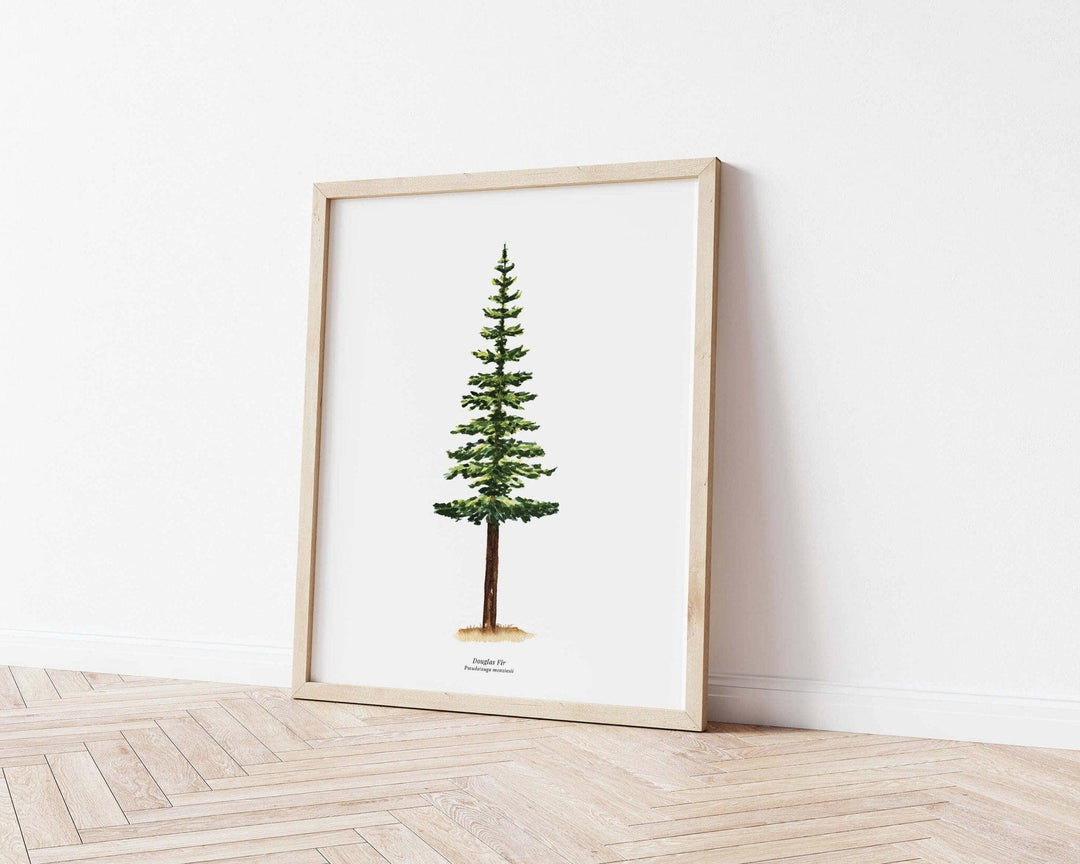 PNW Douglas Fir Evergreen Tree | Watercolor Art Print: 11"x14" - Pac Nor Westy - 