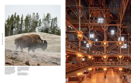 PNW Lodge: An Indoorsy Tour of America's National Parks - Pac Nor Westy - 
