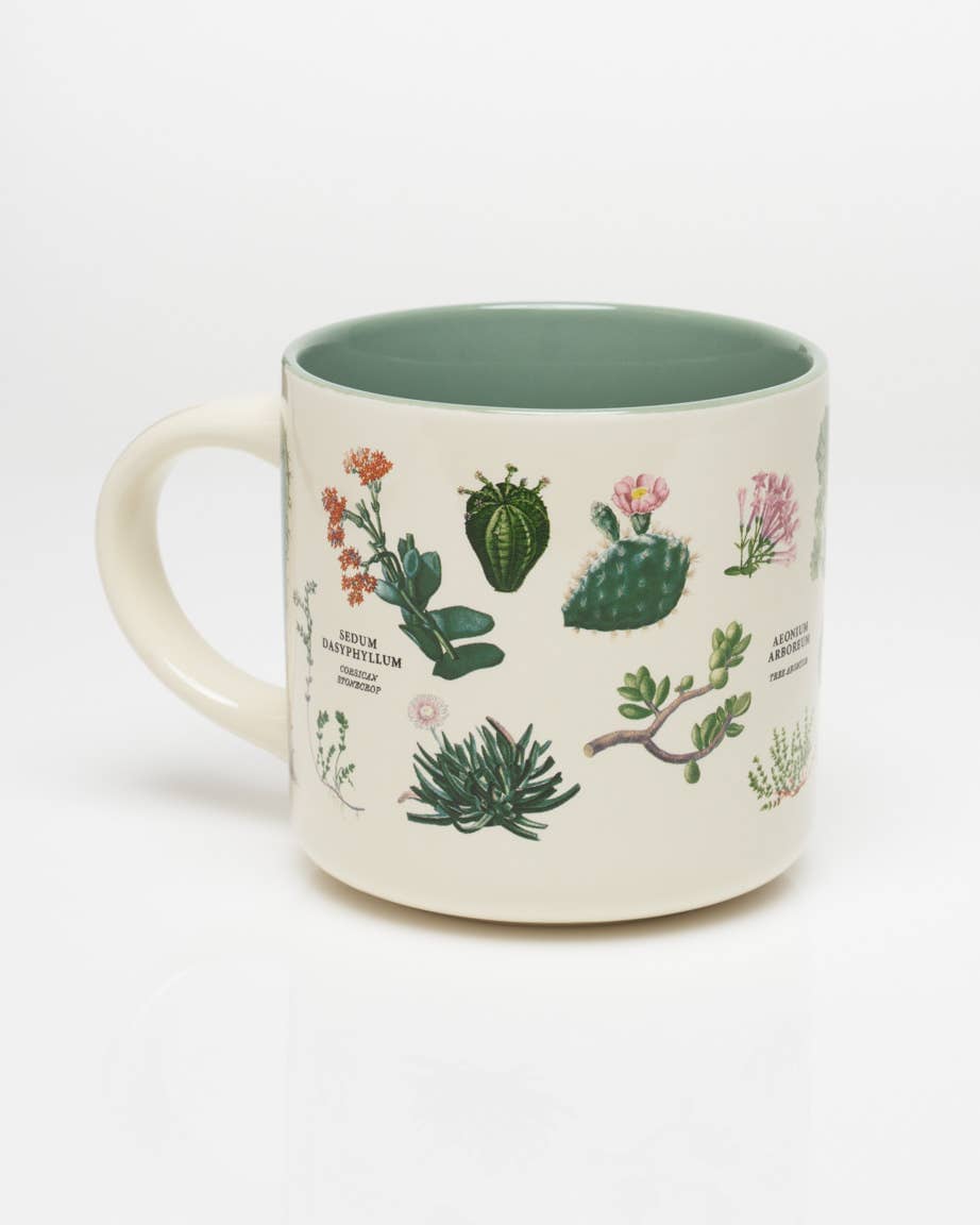 PNW Succulents Ceramic Mug - Pac Nor Westy - 