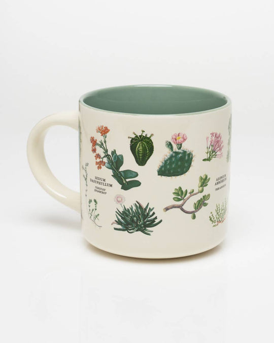 PNW Succulents Ceramic Mug - Pac Nor Westy - 