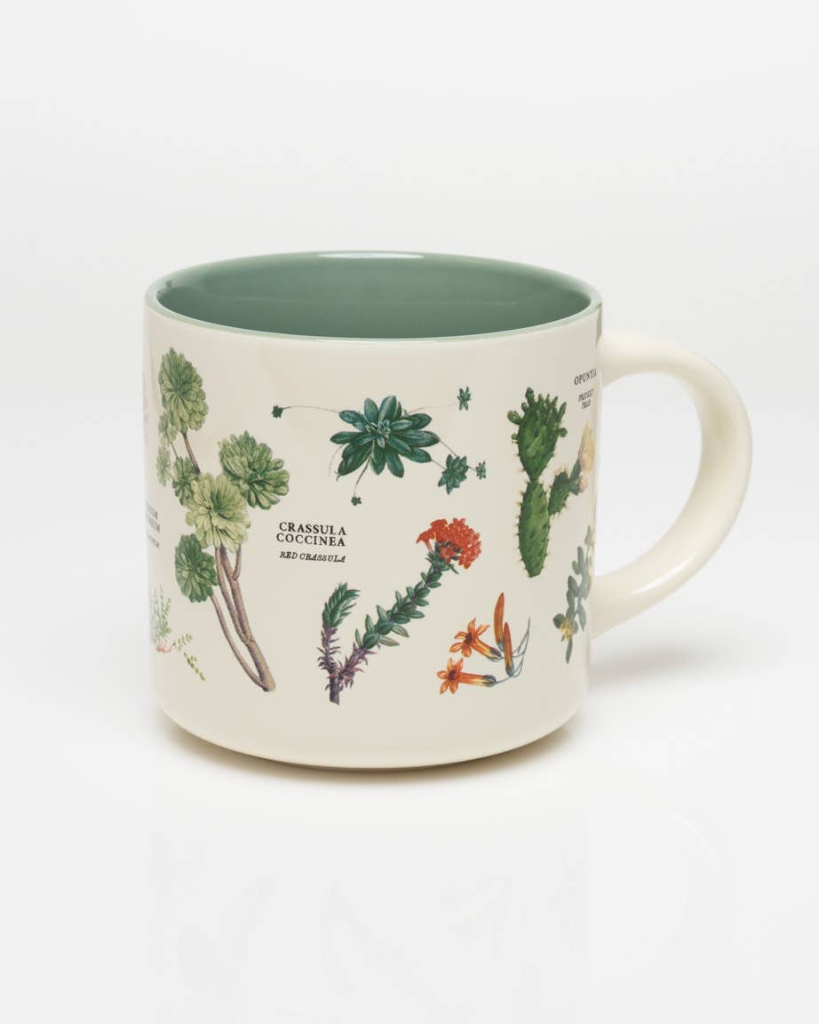 PNW Succulents Ceramic Mug - Pac Nor Westy - 